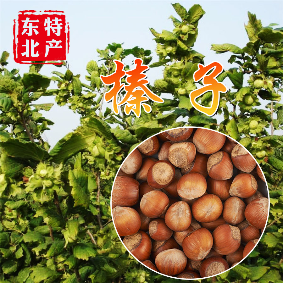 东北开口大榛子 500g